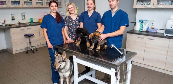 Veterinary Forea
in Lanškroun